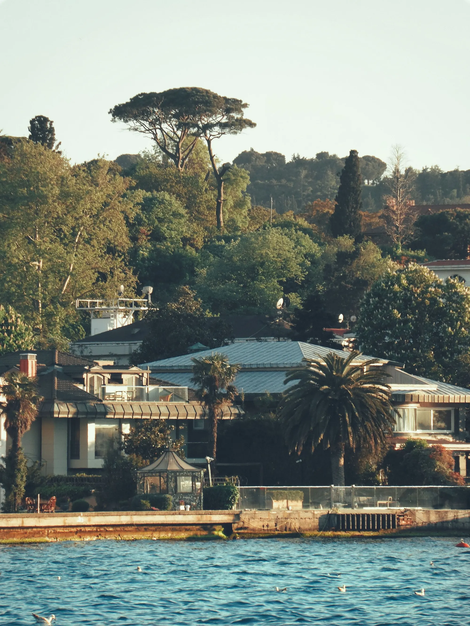 Lakeside villas among trees